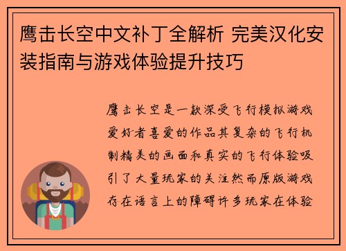 鹰击长空中文补丁全解析 完美汉化安装指南与游戏体验提升技巧